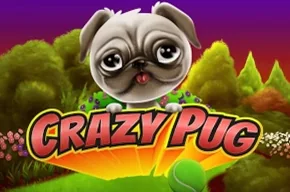 Crazy Pug